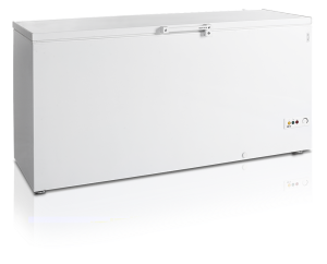 Ларь морозильный Tefcold FR605 SL